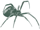 a drawing of a spiders