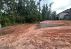 a dirt path with trees on the side