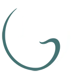 PP dental logo with a tooth icon and circular swoosh in white and teal colors on black background