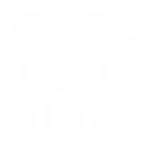 White outline of a tooth with a sparkling star on the upper right side symbolizing dental cleanliness.