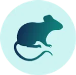 Silhouette of a rat in teal and dark green gradient inside a light blue circular background.