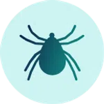 Illustration of a dark teal spider with eight legs on a light blue circular background.