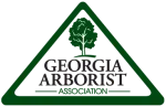 GAA logo