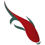 Minimalist red and dark green abstract koi fish illustration swimming to the right on transparent background.