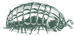 a black and white drawing of a pill bug
