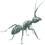 a drawing of an ant