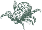 a drawing of a bug