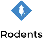 Mouse symbol inside a blue diamond shape with rounded corners