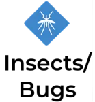 Blue diamond-shaped logo with white stylized mosquito icon and the word ArmaDrive below.