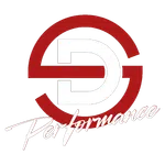 Red and white DG Performance logo featuring stylized letters and cursive text on transparent background