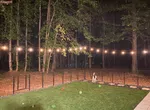 a dog in a yard with trees