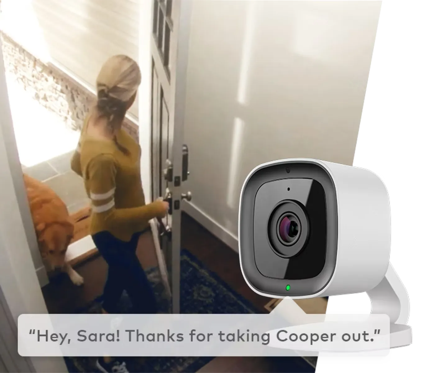 Woman opening front door with dog entering, captured by a smart home security camera with notification text.