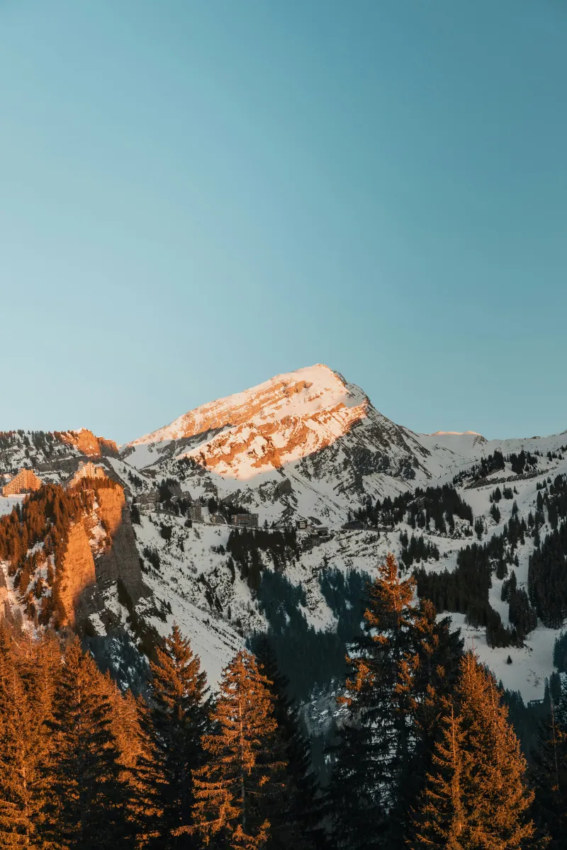 a snowy mountain with trees