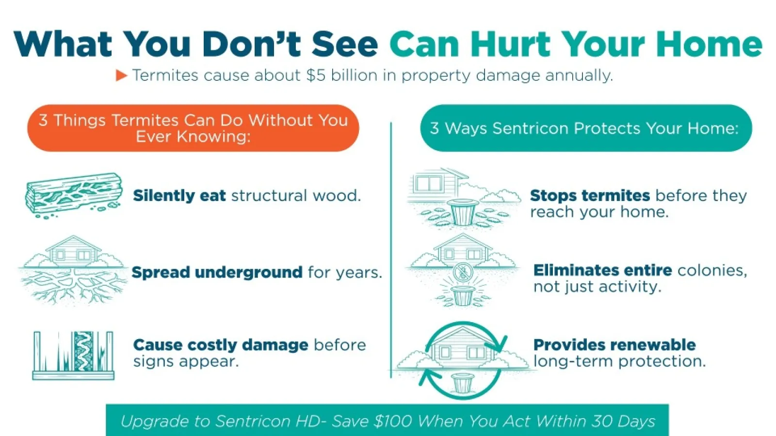 Infographic showing termite damage risks and Sentricon protection methods for home safety and cost savings.