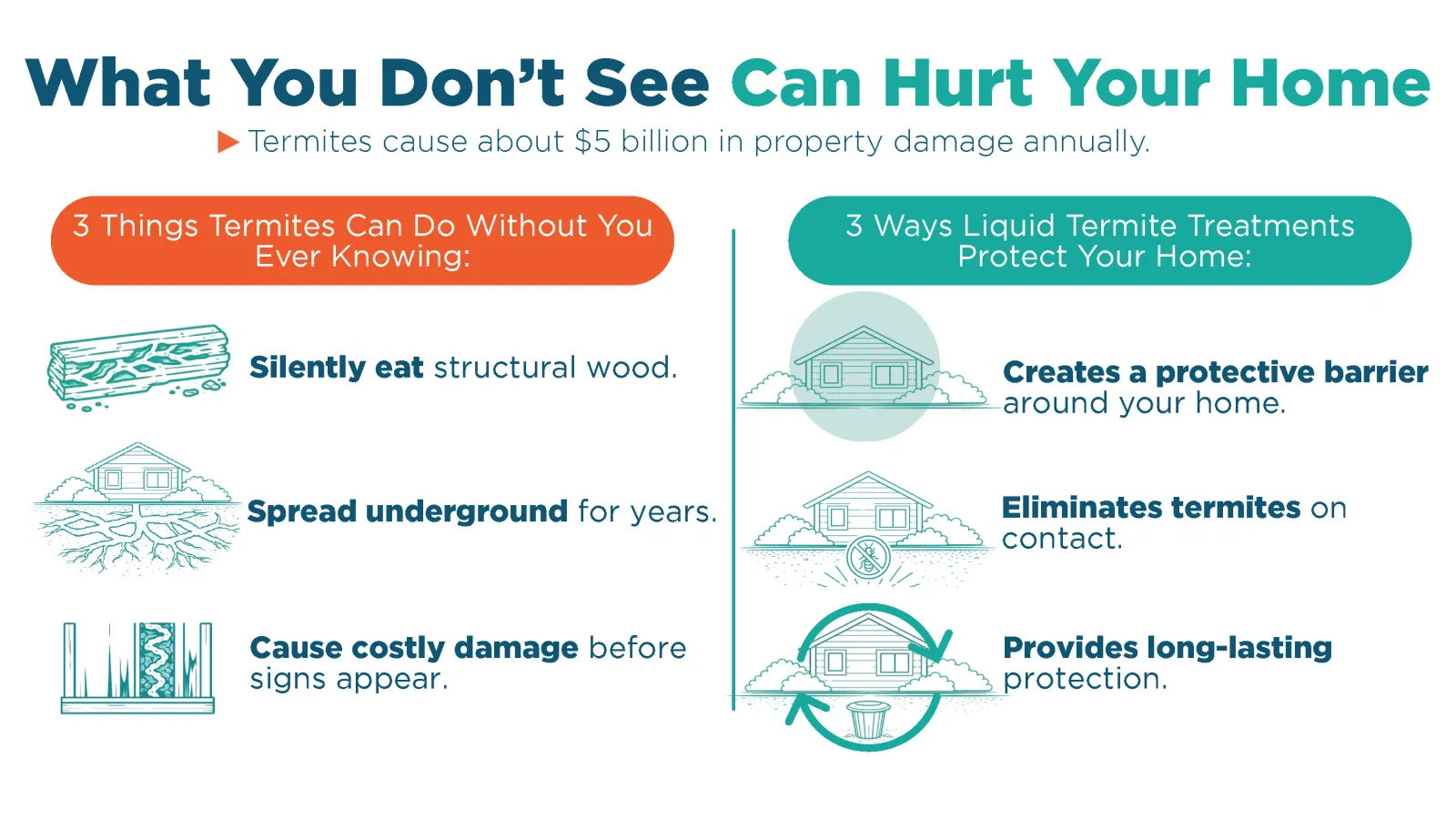 Infographic showing termite damage risks and how liquid treatments protect homes with barriers and long-lasting effects.