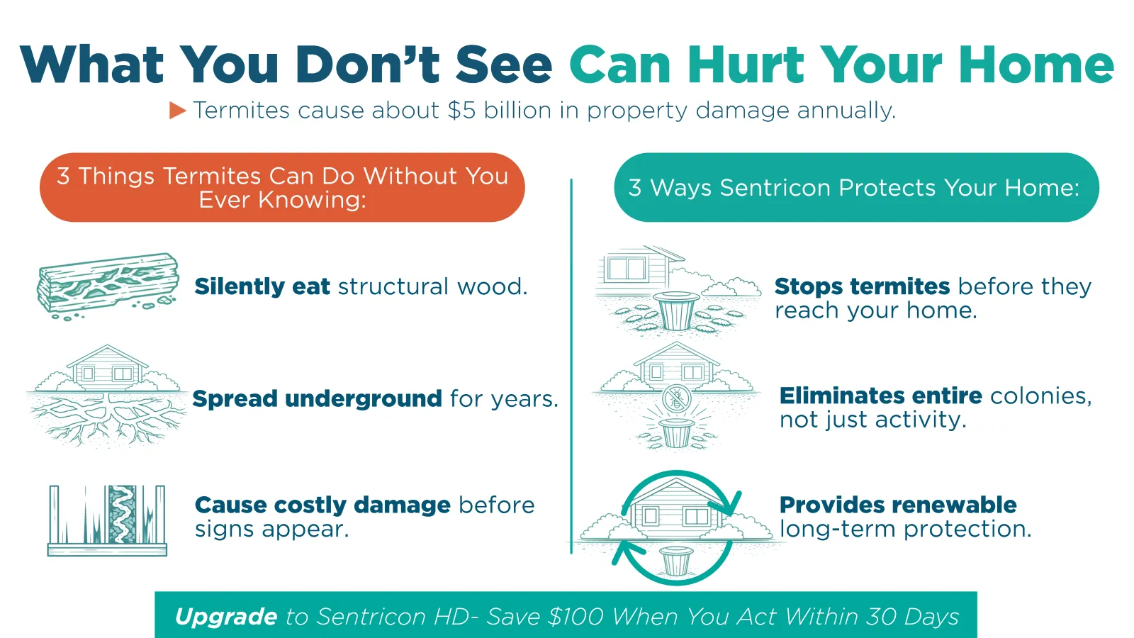 Infographic showing termite damage risks and Sentricon protection methods for home safety and cost savings.