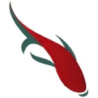 Minimalist red and dark green abstract koi fish illustration swimming to the right on transparent background.
