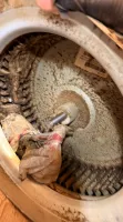 Close-up of a dirty blower wheel inside an HVAC unit with a gloved hand holding a tool for maintenance.