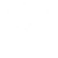 Shield emblem with dollar sign and stacked coins symbolizing financial security and protection.