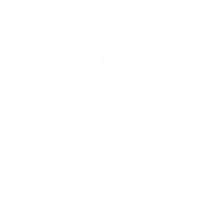 White symmetrical snowflake icon with six branches on a black background.