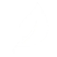 Simple white leaf icon with a curved stem on a transparent background