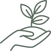 icon of a hand holding a plant