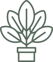 icon of a large, potted plant