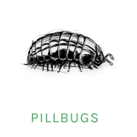 pillbug icon