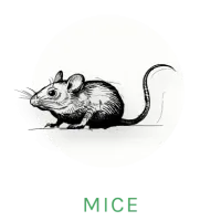 mouse logo