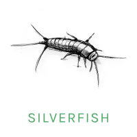 silverfish icon