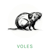 vole logo