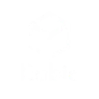 White outline of a cube above the word Rubic on a black background logo.