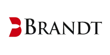 Brandt Information Services logo