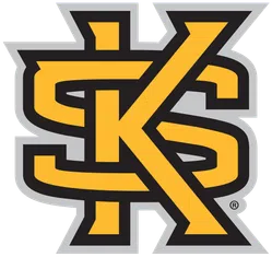Interlocking yellow and black letters S, K, and S in a bold outlined design with gray border.
