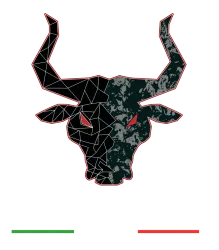 Geometric and textured bull head with red eyes above Festival Del Toro text and Italian flag colors.