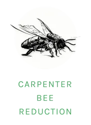 carpenter bee logo