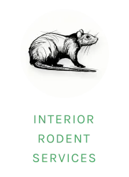 rodent logo