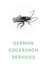 german cockroach logo