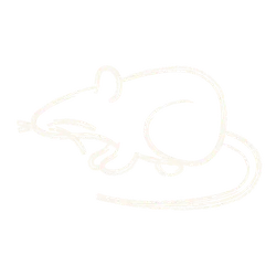 Minimalist white outline drawing of a mouse with detailed tail and whiskers on black background