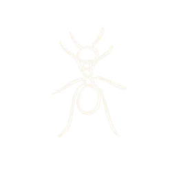 Simple white hand-drawn ant sketch with six legs on black background minimalist insect illustration