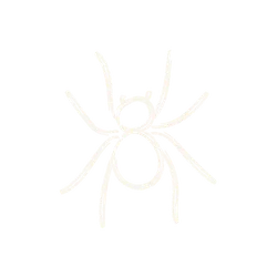 Simple white line drawing of a spider with eight legs on a black background