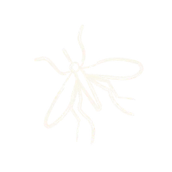Simple white line drawing of a mosquito on a black background.