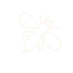 Simple white line drawing of a bee on a black background with minimal detail.