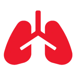 Lung Cancer due to Radon gas in southeast icon