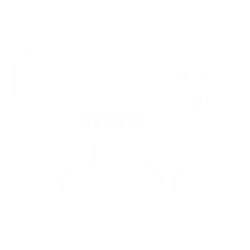 Google Reviews logo displaying over 600 reviews with a four and a half star rating