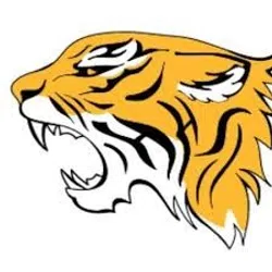 a tiger with a tiger head