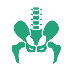 Simplified green illustration of human pelvis and lower lumbar spine bones on black background.