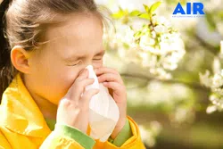 HVAC AC Repairs Allergy Clean Air
