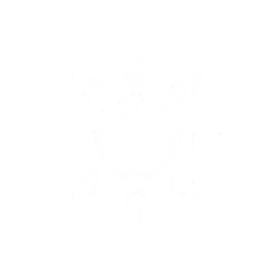 shape