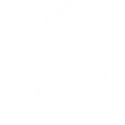a black and white striped logo